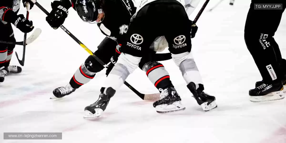 一键直击全球赛事，精彩从不缺席！🏀